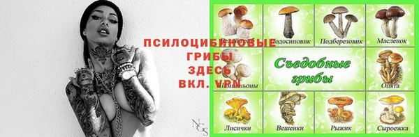 ALPHA PVP Богородск